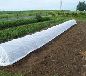 Dewitt Row Cover 6x250